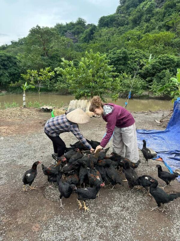 Ninh Binh: Half-Day Cooking Class at a Local Home - An In-Depth Look at the Experience