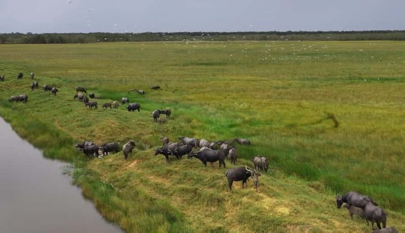 Ninh Binh: Hoa lu, Bai Dinh, Trang an & Mua cave Small Group - Final Thoughts