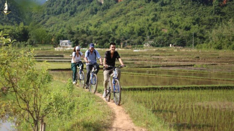 ninh-binh-hoa-lu-tam-coc-mua-caves-buffet-lunch