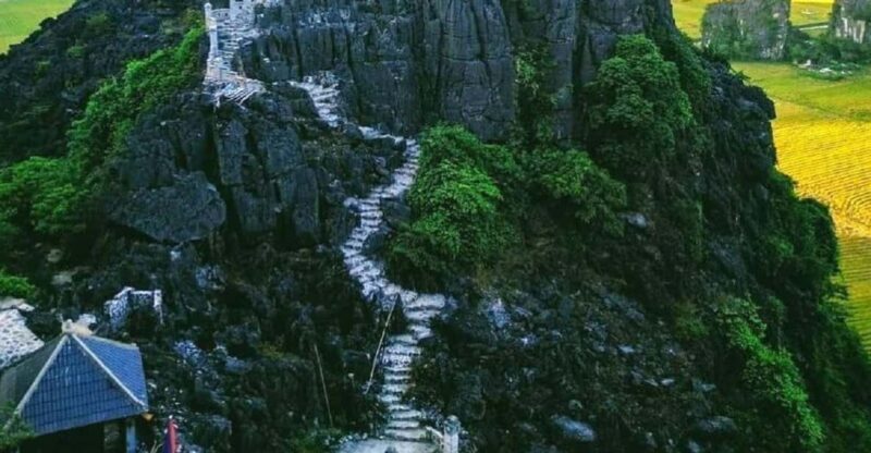 Ninh Binh : Hoa Lu, Trang An & Mua Cave 1 Day Trip - An Overview of the Experience