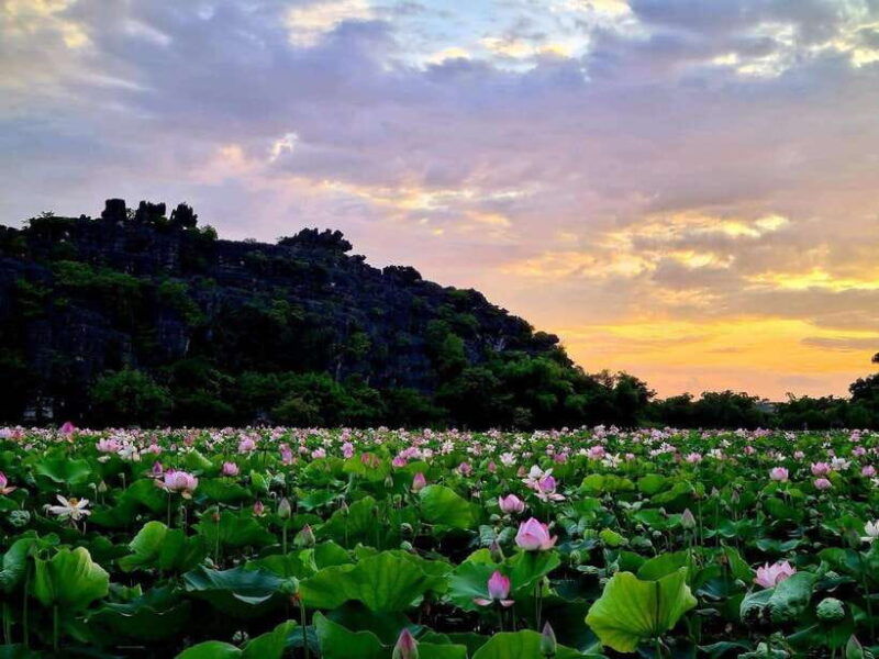 ninh-binh-hoa-lu-trang-an-mua-cave-small-group-daily-tour