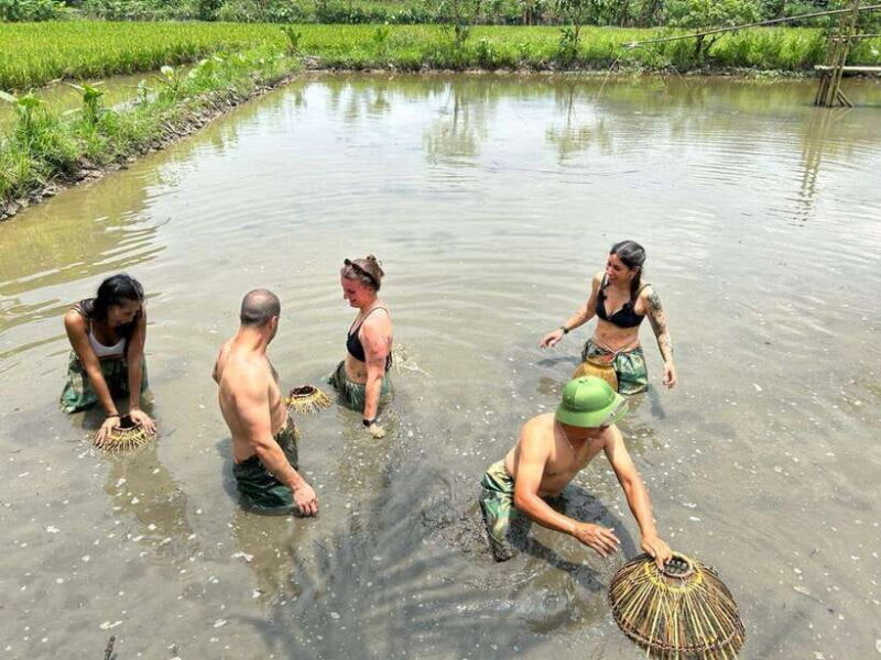 Ninh Binh Jeep Tour One Day - Pick up at Ninh Binh - The Practical Side: Transportation, Cost, and Group Size