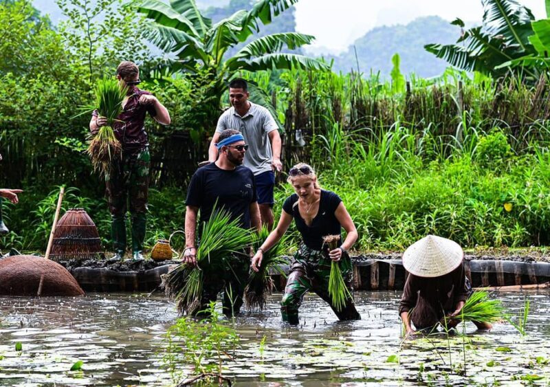 Ninh Binh: Rice planting and fishing by basket tour - A Closer Look at What the Tour Offers