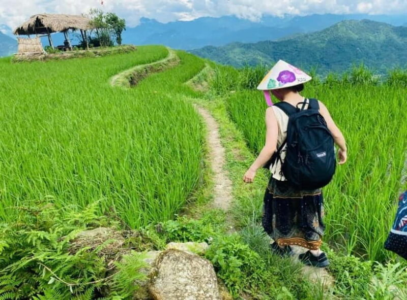 Ninh Binh: Sapa 3-Day Trekking Tour with Homestay - Practical Tips for Travelers