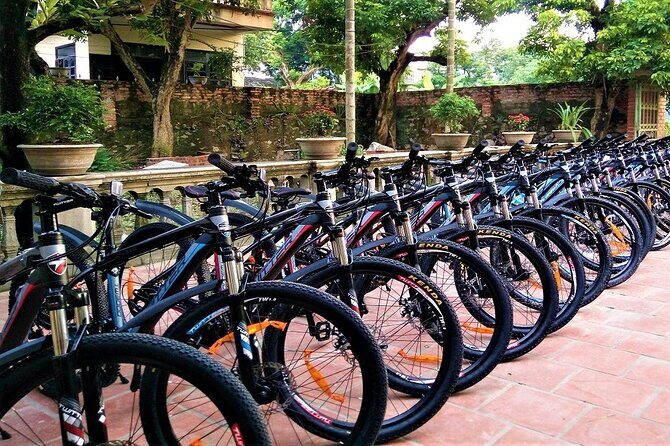 Ninh Binh Shared Small Group Tour with Transport and Lunch - A Detailed Look at the Itinerary
