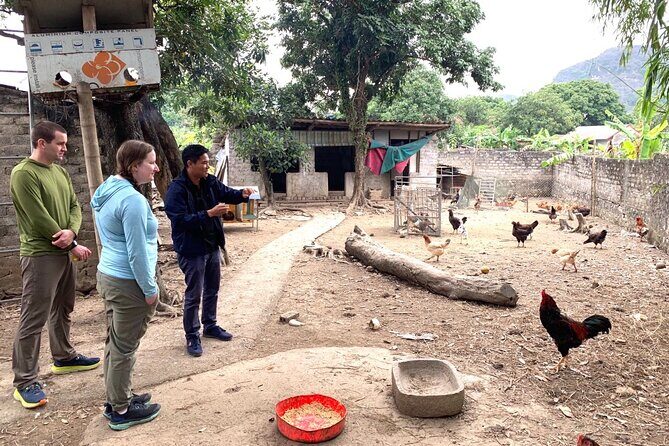 Ninh Binh Small Group of 9 Guided Tour to Mua Cave Tam Coc Hoa Lu - The Sum Up