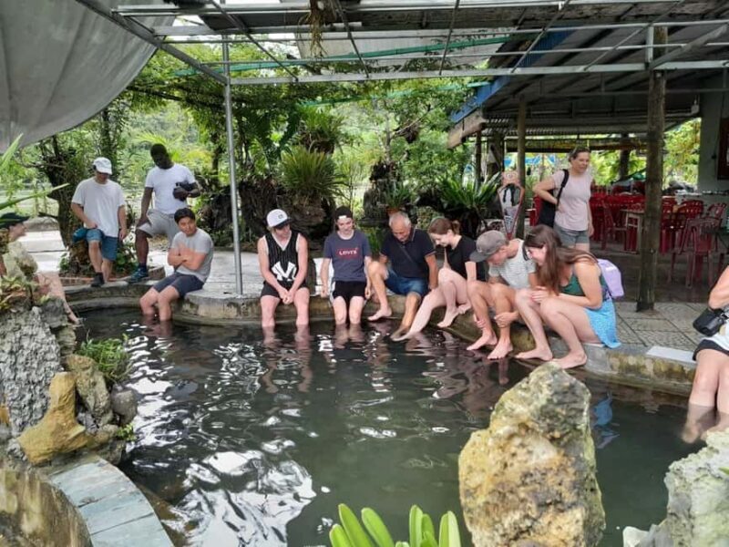 Ninh Binh to Cat Ba: 2Days- LanHa bay tour-bike, kayak,lunch - What Reviewers Say: Real Experiences