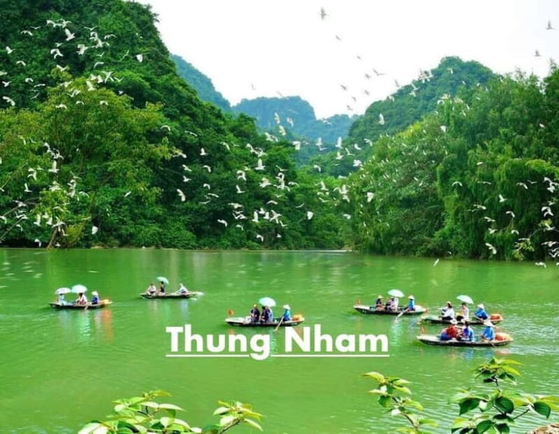 Ninh Binh: Trang An, Mua Cave, Hoa Lu & Bird Valley Day Trip - Who Is This Tour Best For?