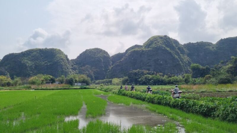 Ninh Binh Vespa Tours from Hanoi: Vespa + Boat + Daily Life - A Well-Designed Itinerary for Authentic Ninh Binh Experiences