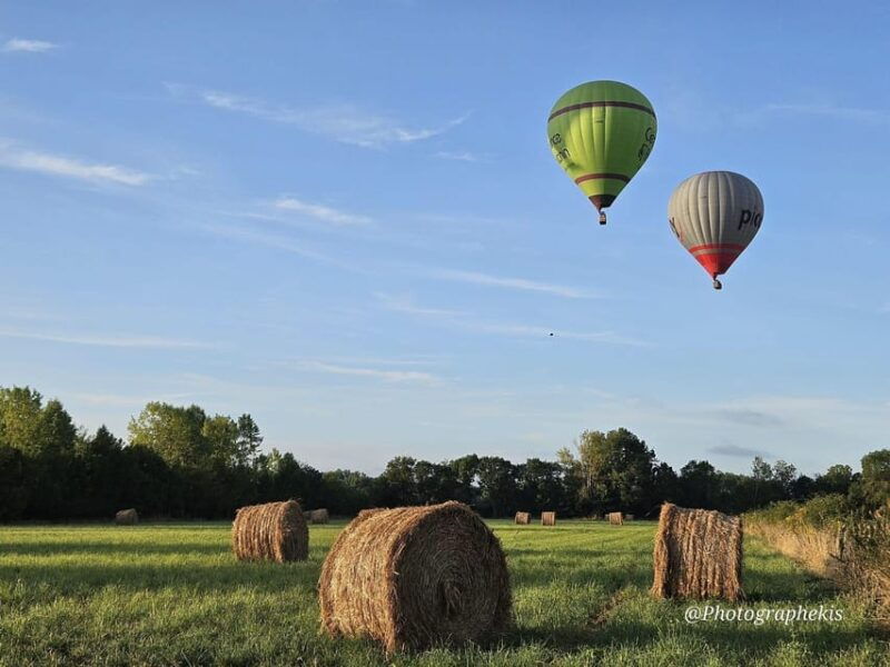 niort-and-the-marais-poitevin-hot-air-balloon-flight-from-coulon