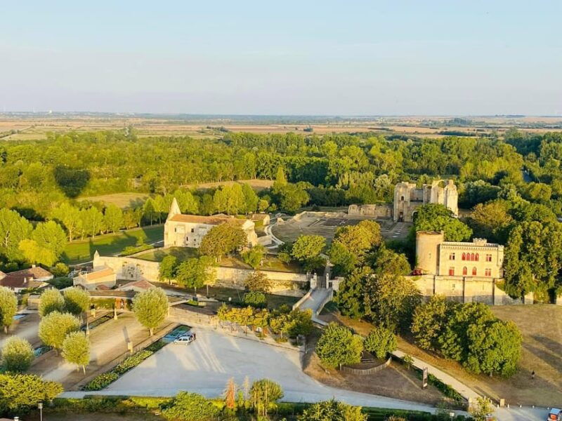 niort-and-the-marais-poitevin-hot-air-balloon-flight-from-coulon