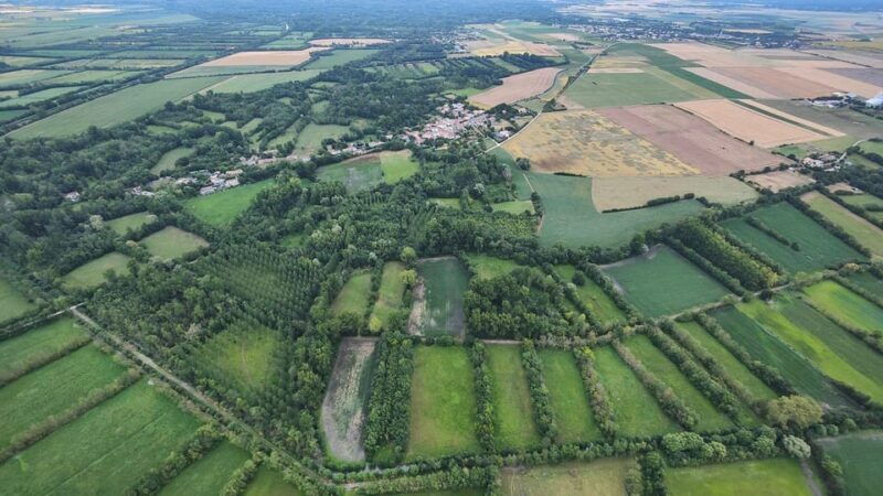 niort-and-the-marais-poitevin-hot-air-balloon-flight-from-coulon