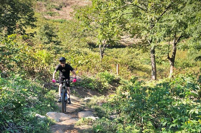 Niseko Mountain Biking Tour - Final Thoughts: Who Will Love This Tour?
