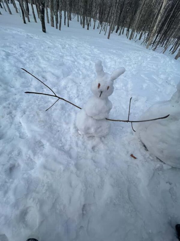 Niseko: Private Ski Lesson (Certified Instructor) - Who Should Consider This Experience?