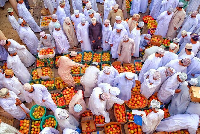 Nizwa- Al Hamra Old Village- Misfah Al Abryeen Full Day Tour - Overview of the Tour Experience
