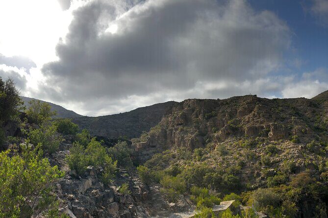 Nizwa and Jebel Akhdar Discovery: Guided Small Group Experience - What Makes This Tour Special?