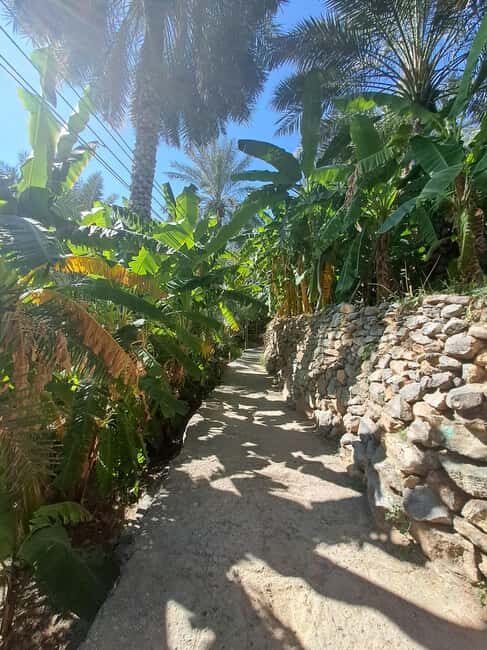 Nizwa And Misfat Al Abreen Vallge - What Travelers Say About This Tour