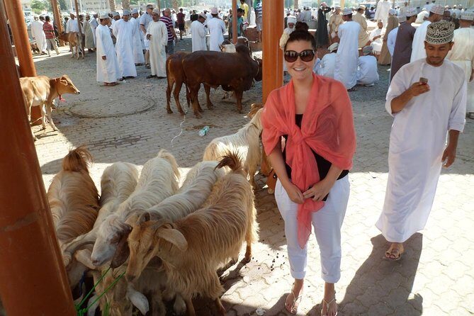 Nizwa Bahla & Jabrin Fort(Muscat tours) as private and custom trip - Who Should Consider This Tour?