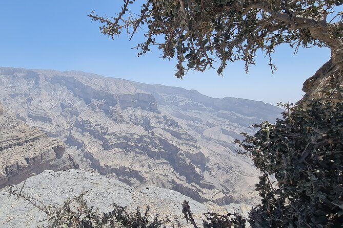 Nizwa Heritage & Jebel Shams Canyon  Private Tour from Muscat - The Sum Up