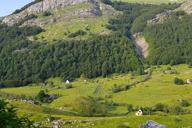 njegusi-smokehouse-farm-to-fork-experience-kotor-walking-tour