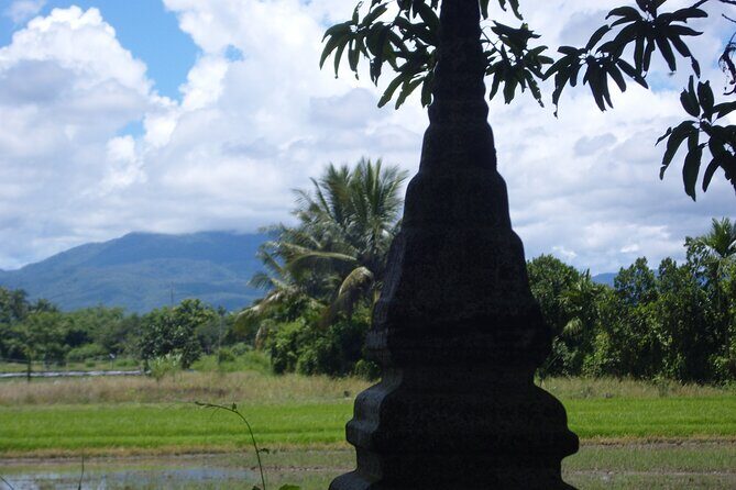 "No.1 Chiang Mai: Half Day Rice Field Vision Mountain Biking " - Who Should Consider This Tour?