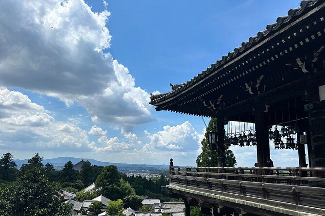 no-emission-car-nara-private-tour-from-kyoto-with-japanese-guide