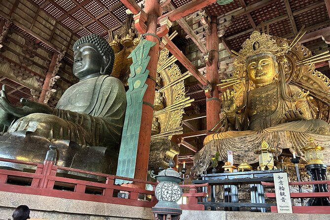 no-emission-car-nara-private-tour-from-kyoto-with-japanese-guide