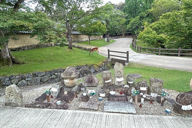 no-emission-car-nara-private-tour-from-kyoto-with-japanese-guide