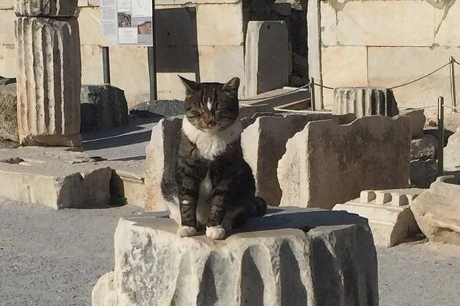 no-hidden-costs-private-ephesus-with-skip-the-line-tickets-3