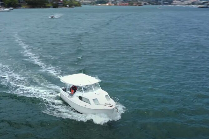 No licence Self Drive Boat Hire Sydney Harbour - Authentic Insights from Past Guests