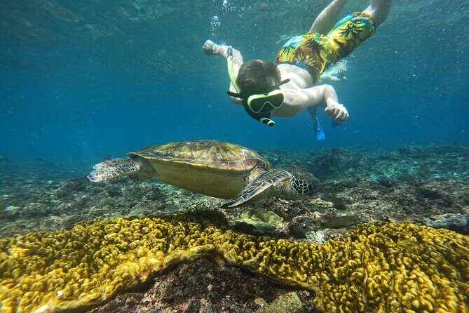 No:#1. Penida Island Tour And Snorkeling With Manta - The Value of All-Inclusive Gear and Food