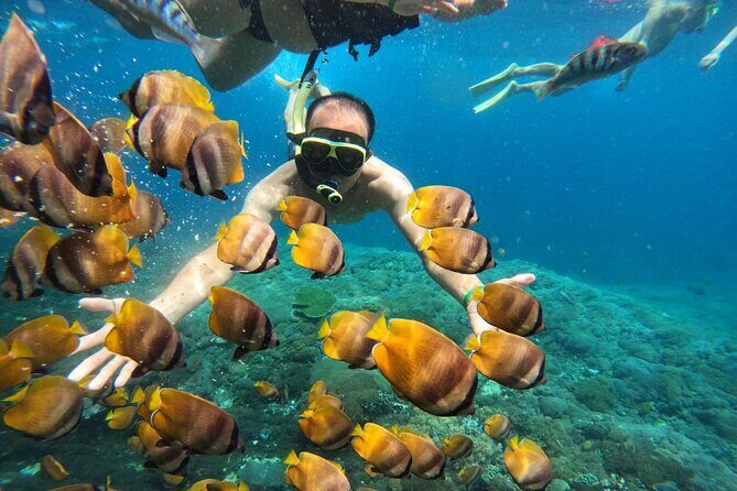 No:#1. Penida Island Tour And Snorkeling With Manta - Authentic Encounters and Tour Critiques