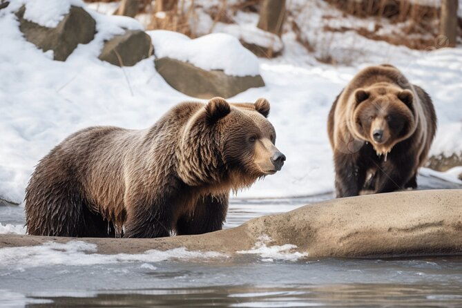 noboribetsu-bear-park-admission-ticket-hokkaido
