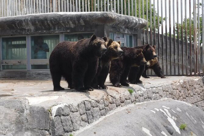 noboribetsu-bear-park-admission-ticket-hokkaido
