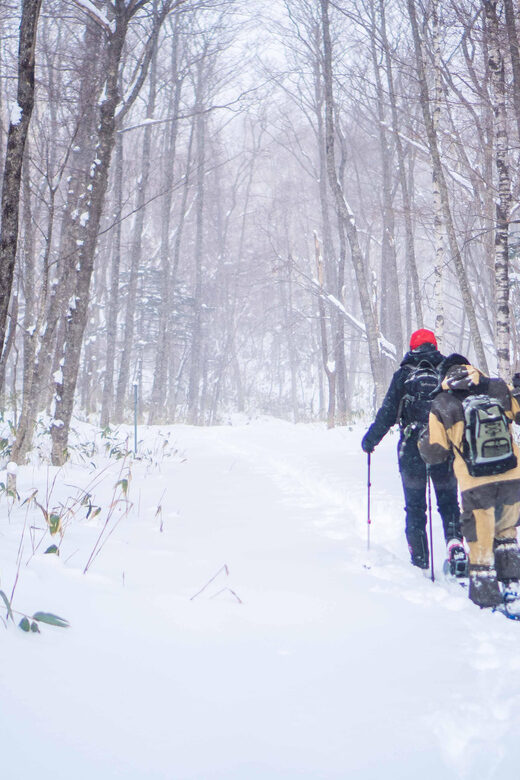 Noboribetsu: Snowshoe trip to Ice Caves - Practical Tips for Your Trip