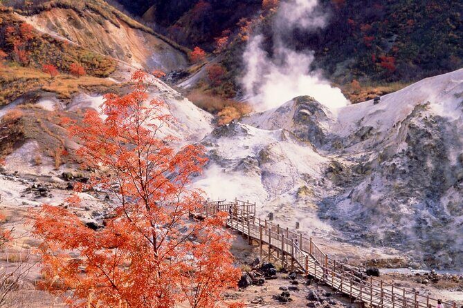 Noboribetsu to Lake Toya Private Tour - Final Thoughts: Is This Tour Right for You?