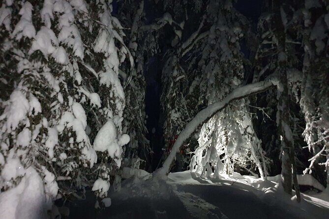 Nocturnal Skiing: Experience the Arctic's Magic - The Itinerary: What to Expect from Start to Finish  