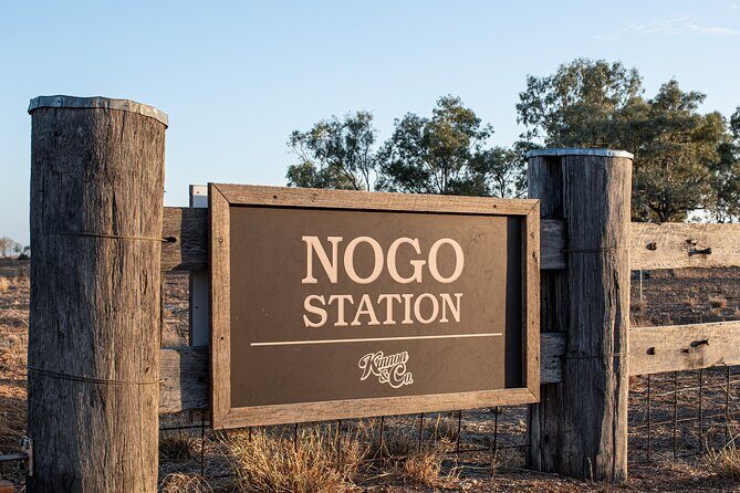 Nogo Station Experience - An In-Depth Look at the Nogo Station Experience