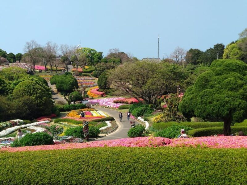 nokonoshima-island-park-garden-tour-wagyu-bbq-lunch