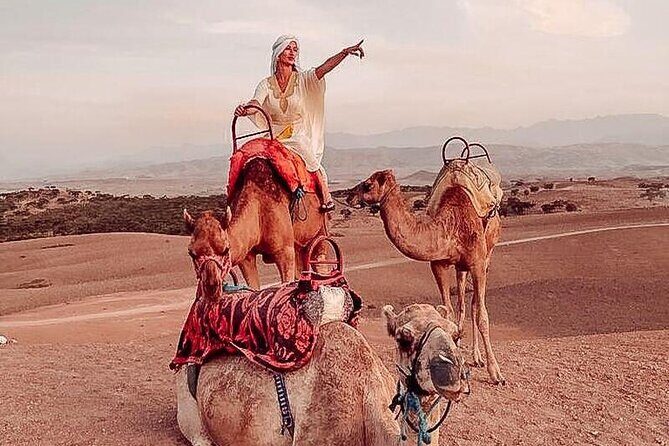 Nomad desert dinner camel ride & bonfire : Marrakech activity - A Closer Look at This Marrakech Desert Experience  