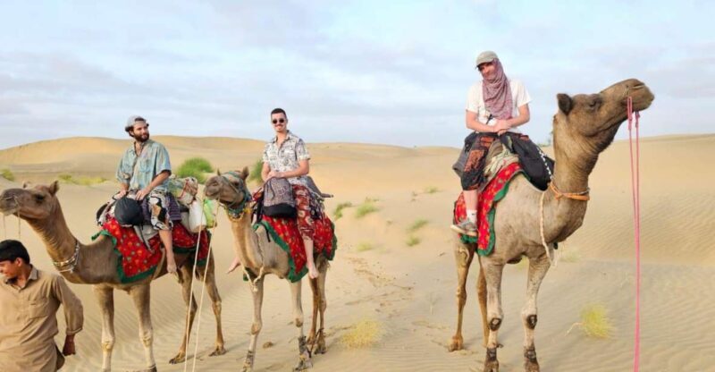 Nomadic 2 Nights 3 Days Non Touristic Camel & Desert Safari - Authentic Encounters & Cultural Insights