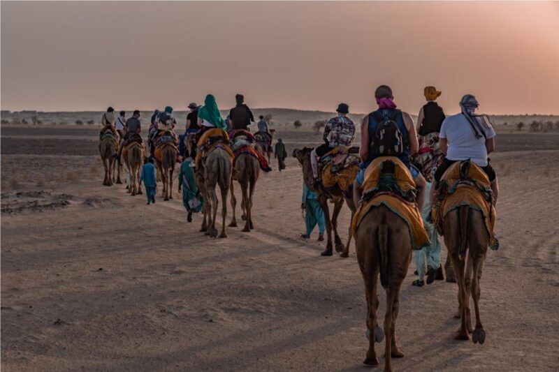 Nomadic 2 Nights 3 Days Non Touristic Camel & Desert Safari - Who Should Consider This Tour?