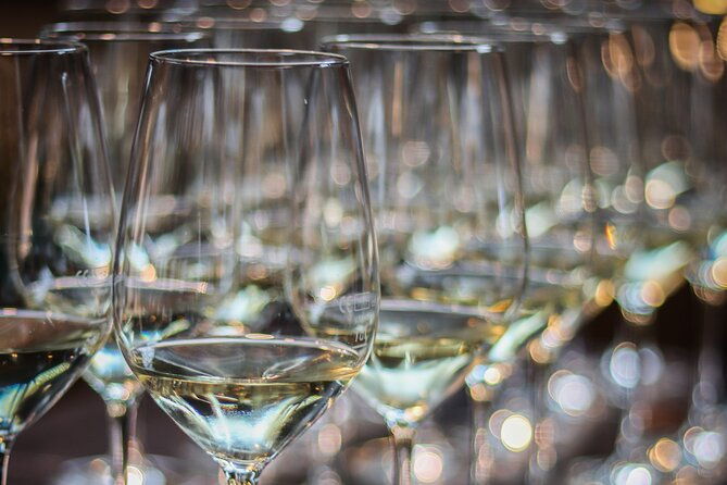 non-alcoholic-wine-tasting-with-an-expert