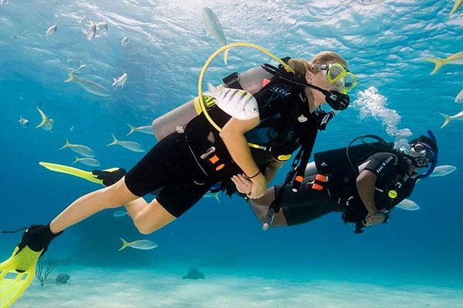 non-certified-diving-experience-plus-transportation