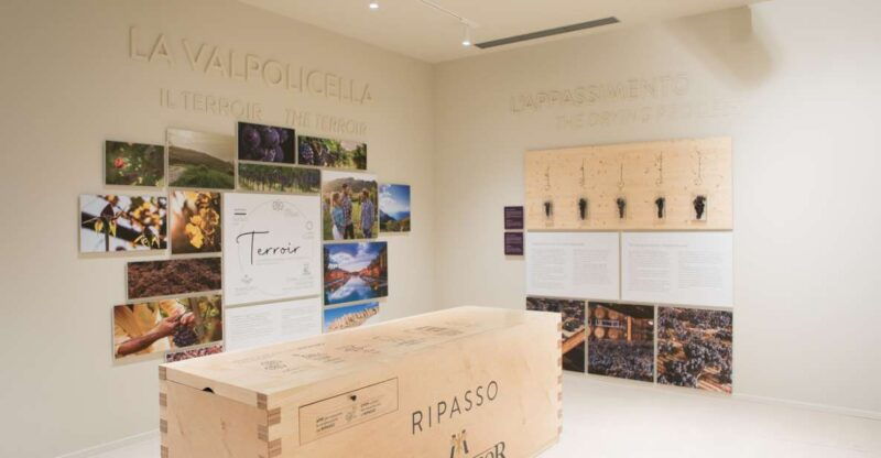 non-guided-tour-of-the-wine-museum-and-amarone-tasting