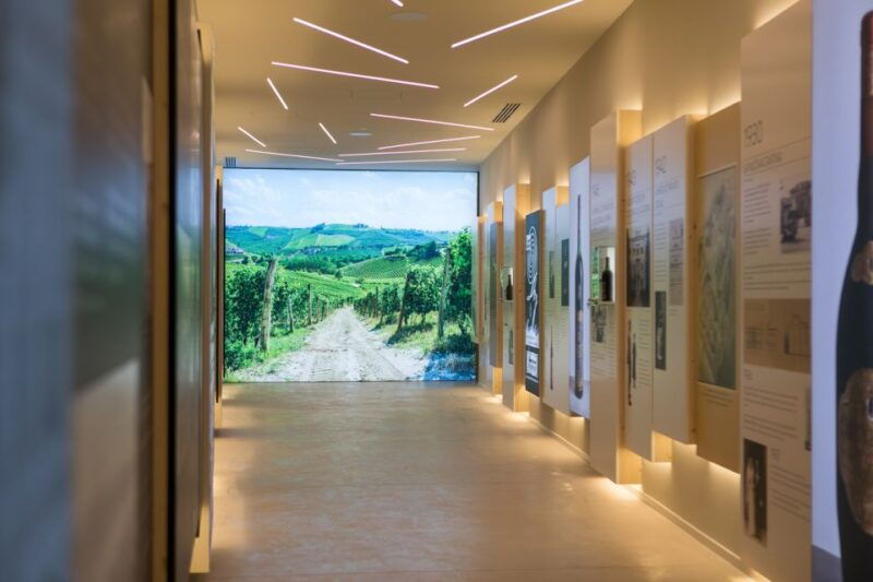 non-guided-tour-of-the-wine-museum-and-amarone-tasting