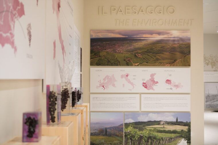 non-guided-tour-of-the-wine-museum-and-amarone-tasting
