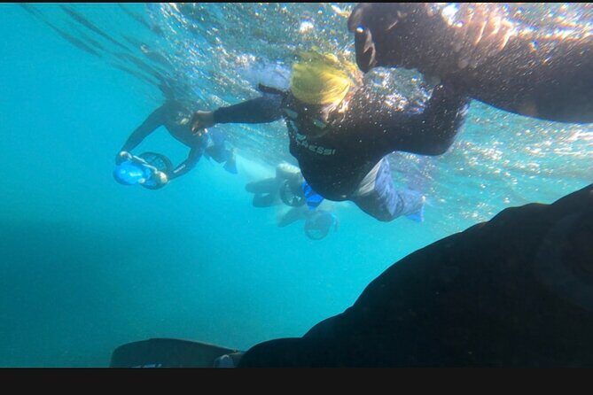 Non Swimmers Discovery Tour ocean - Key Points