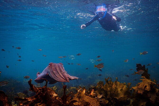 Non Swimmers Discovery Tour ocean - Final Thoughts