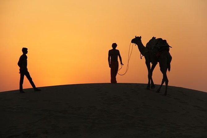 non-touristic-half-day-camel-safari-thar-desert-sunset-4